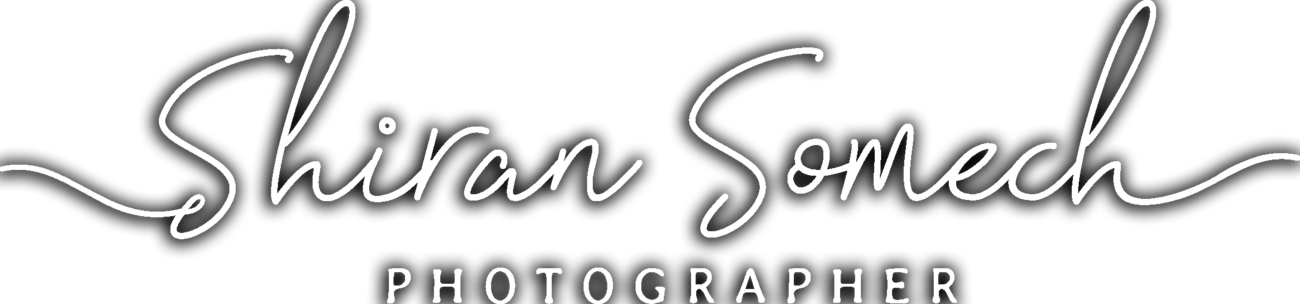 Shiran logo rgbbwcopy